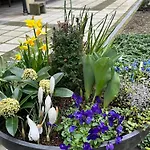 Apartamento Terrasse