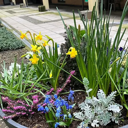 公寓 Terrasse 米德尔克尔克