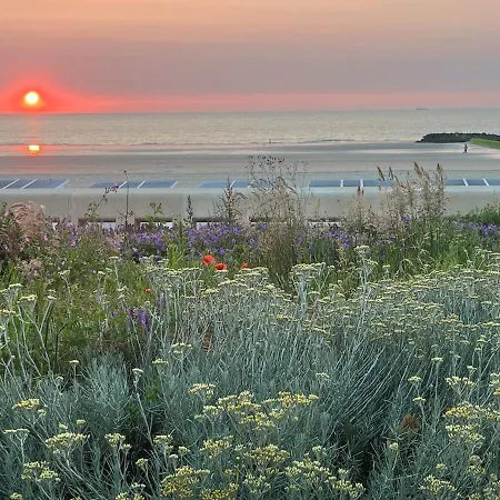 公寓 Terrasse 米德尔克尔克